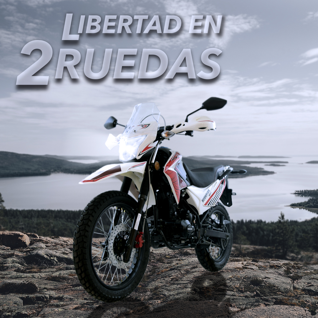 Scorpion 7